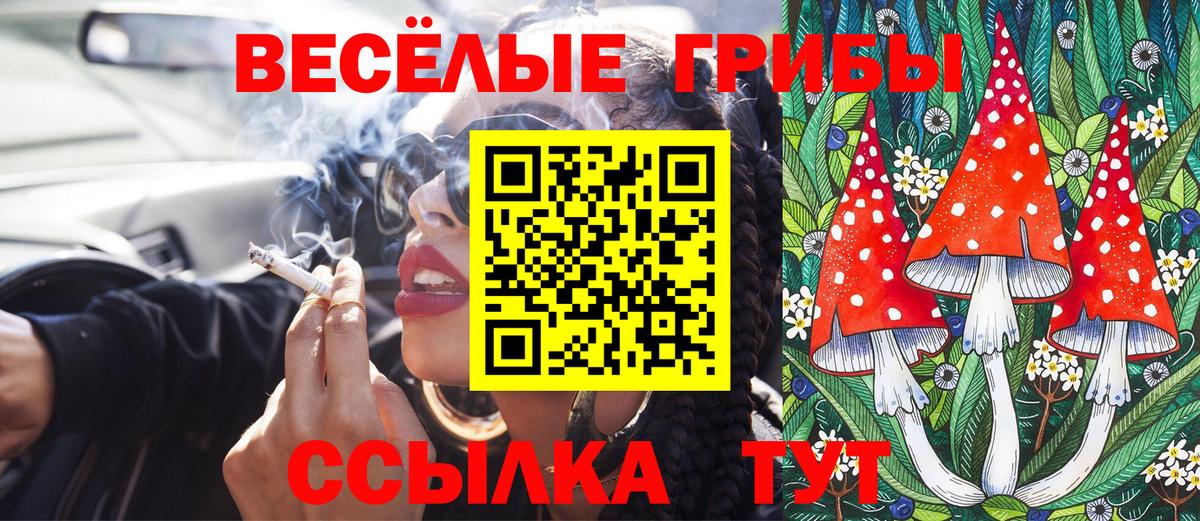 купить наркотик  Галлюциногенные грибы ЛСД  Вход с VPN  Кириши 